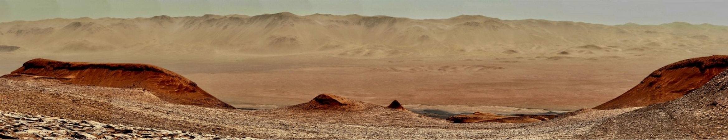 Interplanetary Life program